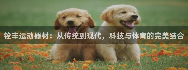 熊猫体育官网下载招商电话号码:铨丰运动器材:从传统到现代,科